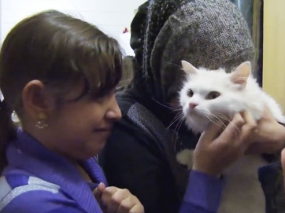 Refugee cat passes thousands of kilometers tо unite with his Iraqi family