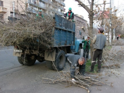 Մարտի 1-ից կմեկնարկեն ծառերի գարնանային էտի աշխատանքները