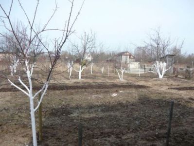 Գյուղնախի խորհուրդները հողօգտագործողներին. ինչ անել բարձր ջերմաստիճանային ռեժիմի դեպքում