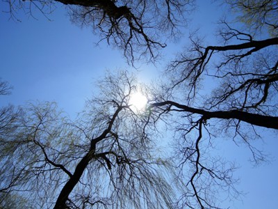 Եղանակը Հայաստանում