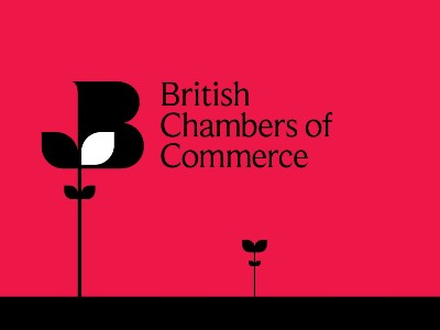 British Chambers of Commerce-ի ղեկավարն ազատվել է պաշտոնից ԵՄ-ից Մեծ Բրիտանիայի դուրս գալը պաշտպանելու համար