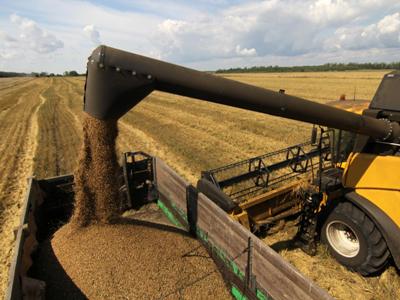 FAO. 2016թ. բերքի գլոբալ կանխատեսումները աշխարհում բարենպաստ են
