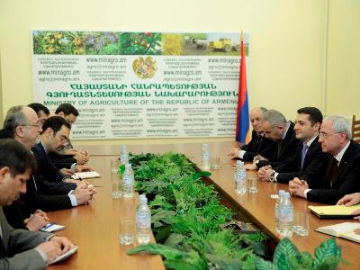 Իրանի հետ արդյունավետ փոխգործակցություն է ծավալվել ոչխարի մսի արտահանման ոլորտում. գյուղնախարար