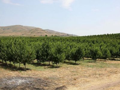 Եթե ՀԷԿ-ը կառուցվի, մենք ոչ այգի կունենանք, ոչ էլ բերք. հագվեցիները դեմ են  Սեդվի գետի վրա ՀԷԿ-ի կառուցմանը