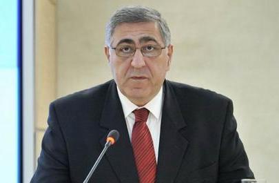 Armenia ambassador: Karabakh authorities are signatory of 1994 ceasefire agreement