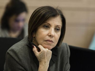 Председатель израильской партии «Мерец» выступила с призывом прекратить продажу беспилотников Азербайджану