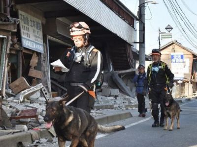 Число жертв землетрясения в Японии возросло до 34