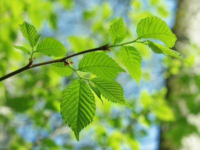 Եղանակը Հայաստանում