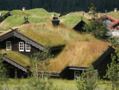 Greenery harms our planet