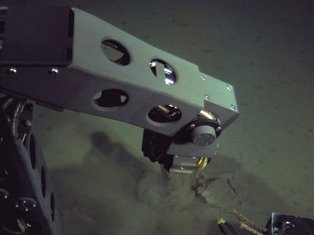Okeanos Explorer-ը շարունակում է հետազոտել Մարիանյան իջվածքի հատակը