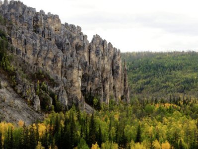 Женщина в Якутии родила ребенка в тайге, полицейские отгоняли медведей