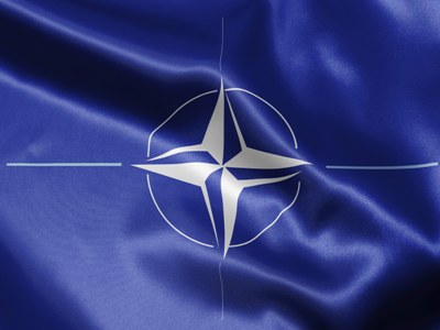 В Эстонии разместят британский батальон НАТО