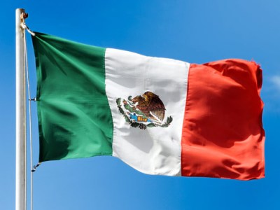 Leader of ruling party in Mexico resigns