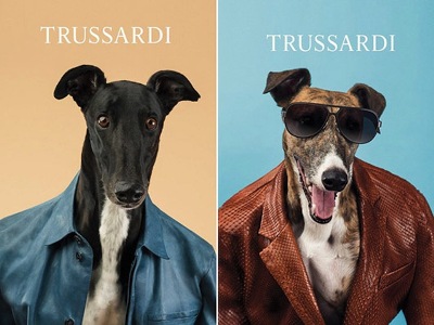 Trussardi նորաձեւության տունը առաջին անգամ ընտանի կենդանիների հագուստ կարտադրի