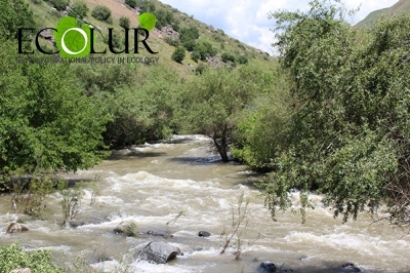 Համաշխարհային բանկը կասեցրեց Գառնիի բնակիչների բողոքի քննությունը մինչև 2017 թվականը