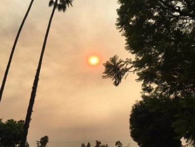 Los Angeles residents are frightened by apocalyptic sun