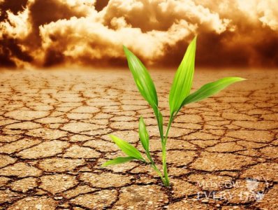 Հնդկաստանը միացել է Կլիմայի Փարիզի համաձայնագրին