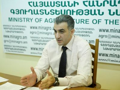 Գյուղատնտեսության ոլորտում սուբսիդավորման ծրագրերը սխալ են աշխատում. նախարար