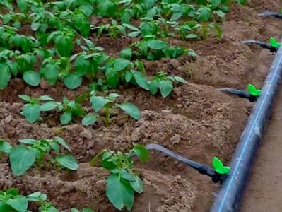 Armenia expects to get €10 million from EU for irrigation system