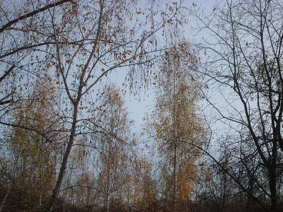 Եղանակը Հայաստանում