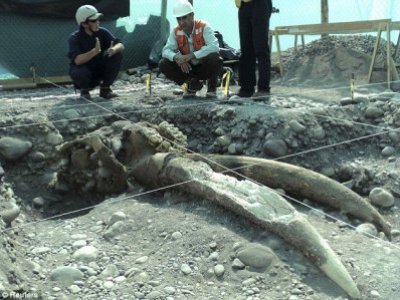Remains of mastodons are found during construction works in US