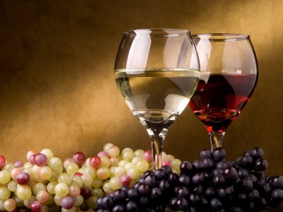 Diaspora Armenian plans to open sparkling wine factory in border village