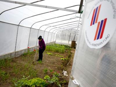 «Հայաստան» հիմնադրամը Տավուշի մարզում ջերմոցներ կկառուցի 59 ընտանիքի համար