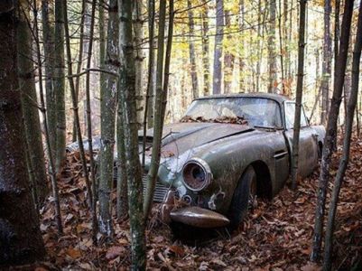 В американском лесу обнаружили Aston Martin стоимостью $500 тысяч