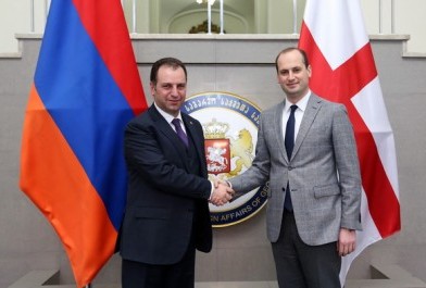 Newspaper: Georgia ex-FM - Armenian-Georgian relations are in full swing