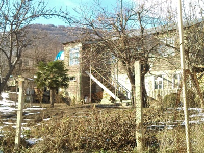 Արևադարձային Ներքին Կարմիրաղբյուր (Ֆոտո)