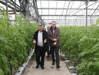 Գազի սակագնի նվազեցումը դրական ազդեցություն կունենա ջերմատնային բիզնեսի վրա. գյուղնախարար