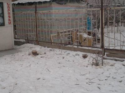 Ծառերը գիշերով հատեցին, որ կրպա՞կ դնեն. ահազանգում է Անահիտ Բախշյանը