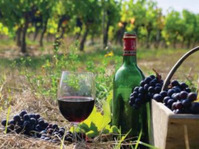 Armenian wines were tasted in Washington