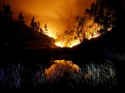 Death toll from Portugal forest fire rises