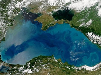 Черное море поменяло цвет из-за водорослей