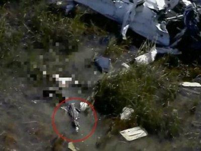 Пилота упавшего в болото самолета съел аллигатор
