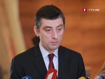 Գեորգի Գախարիան եւ Կախա Կալաձեն հանդիպում են հակակացիայի մասնակիցների հետ
