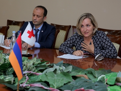 Defense Minister receives head of ICRC delegation in Armenia