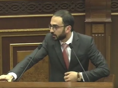 Մենաշնորհների վերացման հարցի լուծման համար կա երկու բաղադրիչ՝ քաղաքական եւ ինստիտուցիոնալ. Ավինյան