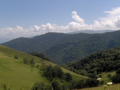 Յուրացումներ «Դիլիջան» ազգային պարկում. պետությանը խոշոր չափի վնաս է հասցվել