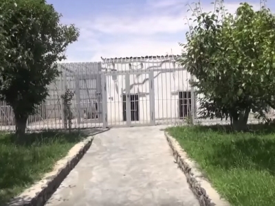 Կենդանաբանական այգու մասնագետներն Էջմիածին են մեկնել՝ Մանվել Գրիգորյանի ամառանոցում պահվող կենդանիներին օգնելու