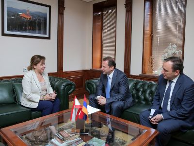 Հայ-լիբանանյան համագործակցության համար պետք է ակտիվացնել բարձր մակարդակի ռազմաքաղաքական երկխոսությունը. նախարար