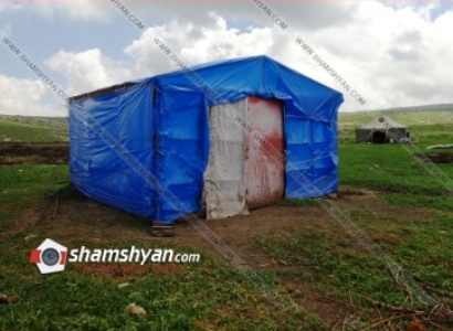 Մանվել Գրիգորյանի ոչխարները գողանալու գործով կա ձերբակալված. Նազիկ Ամիրյանը տուժող է.  ՔԿ-ն մանրամասնում է