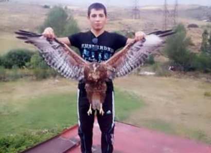 Armenian social network users taken aback by a new killing of a wild bird (PHOTO)