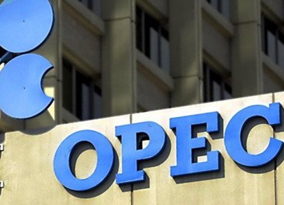 ОПЕК ожидает рост спроса на нефть в мире