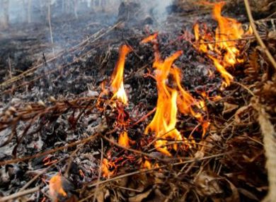 Body of 6-year-old child found after extinguishing fire in Yerevan