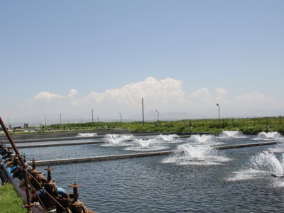 Արարատյան արտեզյան ավազանի ստորերկրյա ջրերի նվազումը հանգեցրել է ոռոգման լուրջ խնդիրների