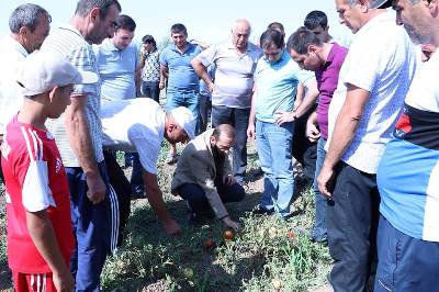 Կառավարությունը չպետք է միայնակ թողնի գյուղացիներին. Արարատ Միրզոյանն Արմավիրի՝ կարկուտից տուժած համայնքներ է այցելել