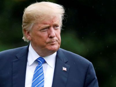 Trump on London attack: These animals are crazy