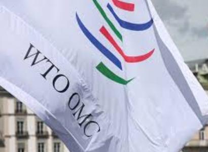 Turkey to unite with Russia in WTO complaint against US tariffs